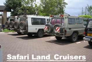 Safari Land Cruisers