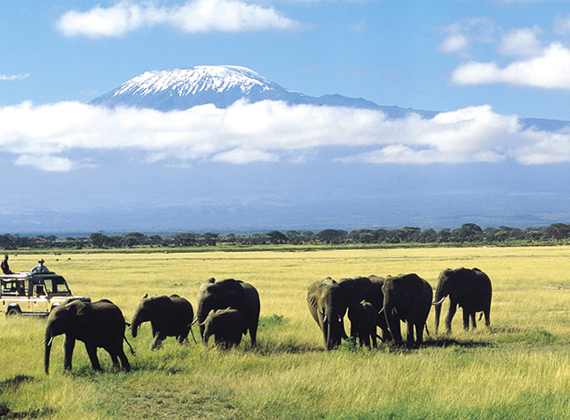 Amboseli National Park.