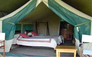 Masai Mara Camping Self Contained Tents