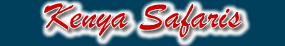 Kenya Safaris